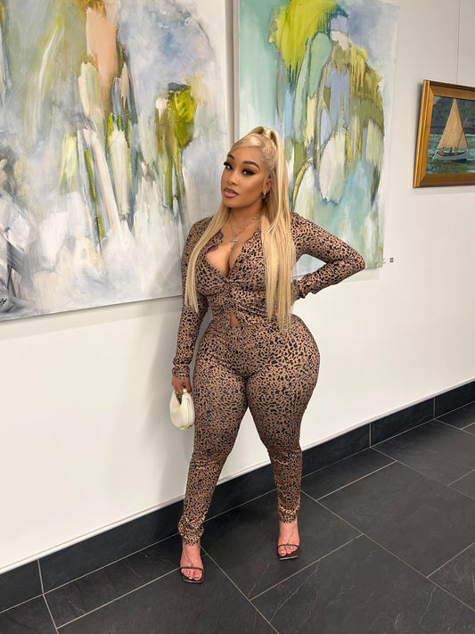 Cheetah Chick Set